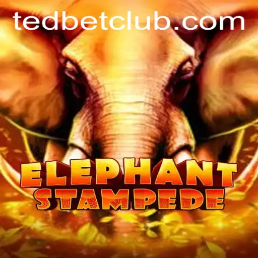 Discovering ElephantStampede at Tedbet Casino