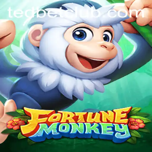 Exploring FortuneMonkey at Tedbet Casino